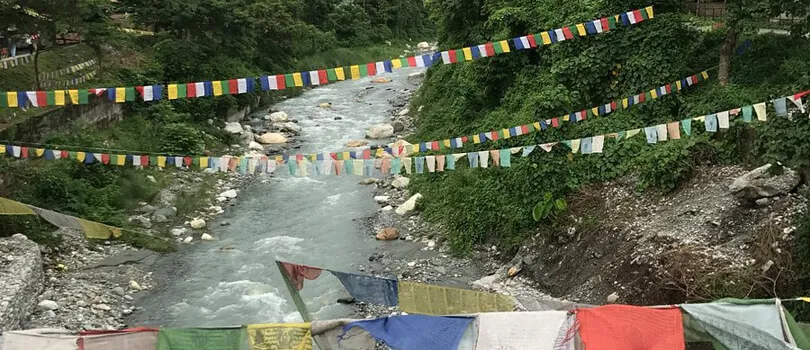 Torsa River Side, Amo Chhu