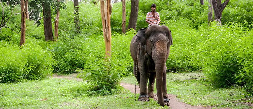 Bumdelling Wildlife Sanctuary