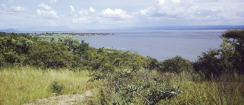 The Rukwa Basin