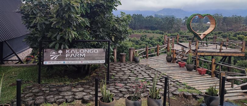 Kimboza Forest Reserve