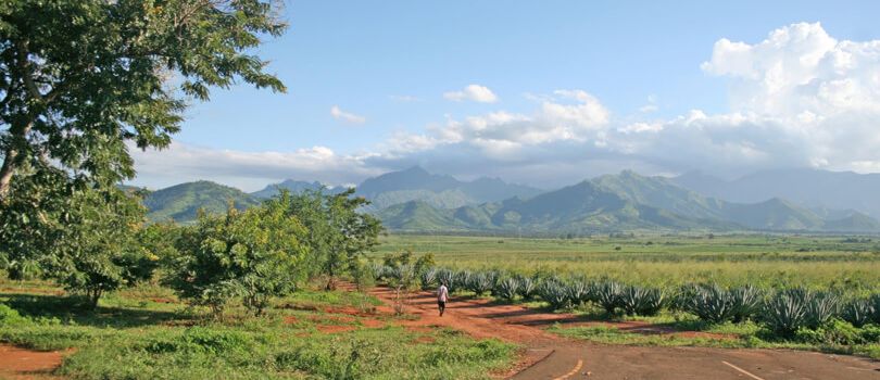 Mgorogoro Nature Reserve