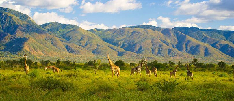 Mkomazi National Park