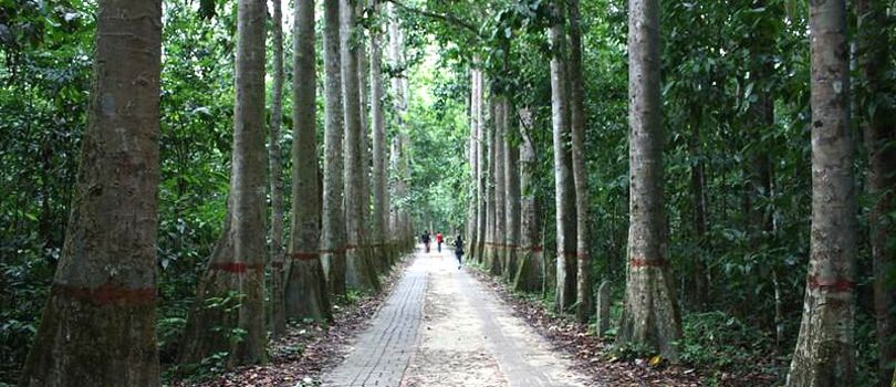 Lawachara National Park