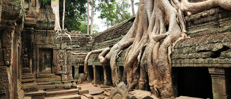 Ta Prohm