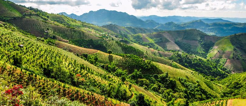 Kalaw Wildlife Reserve