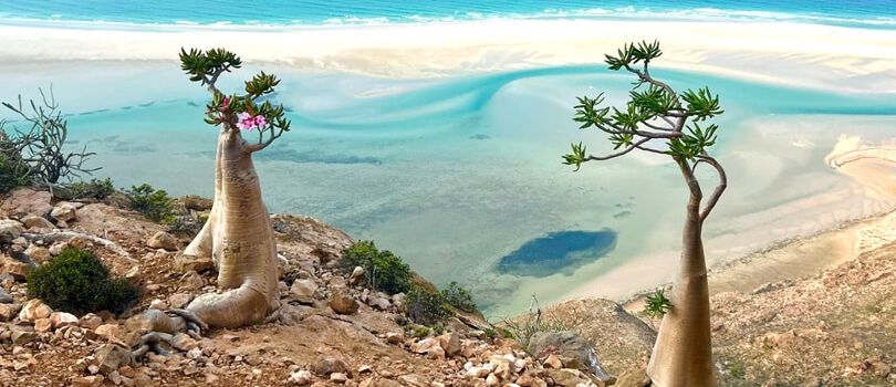 Socotra National Park