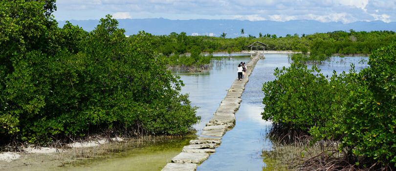 Olango Wildlife Sanctuary