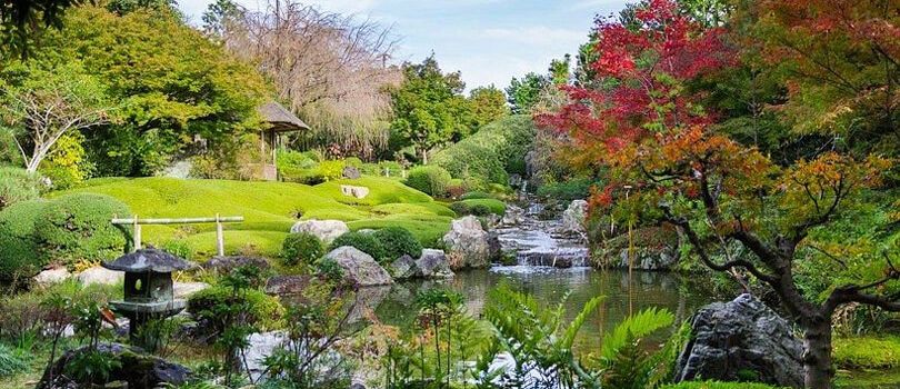Tashkent Botanical Garden