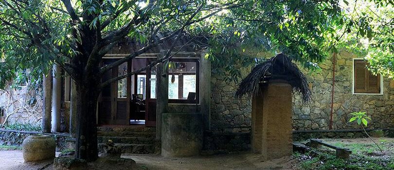 Popham’s Arboretum