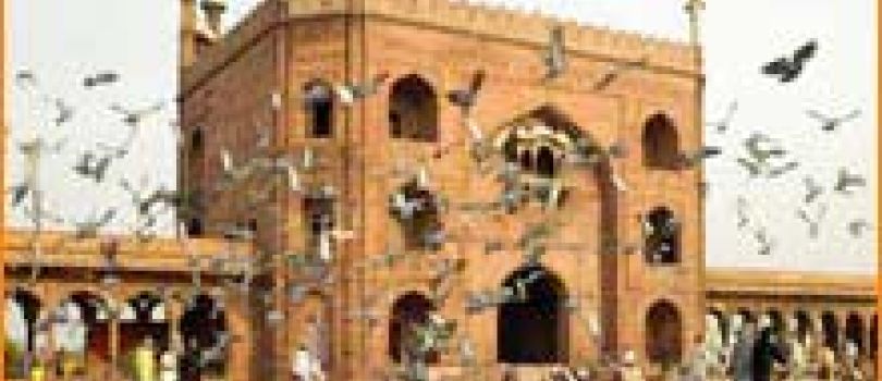 5D Ujjain - Maheshwar - Indore Tour Package