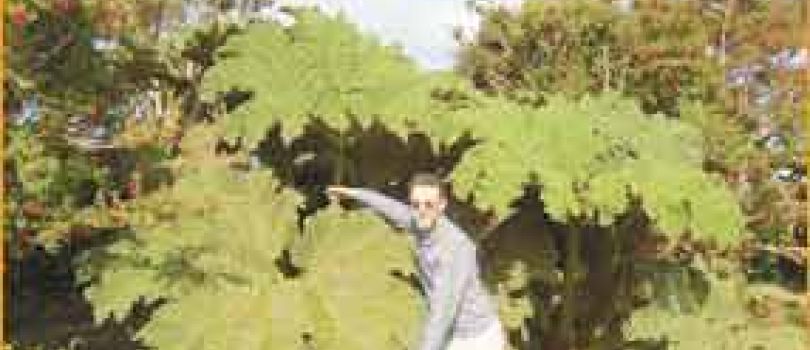 Chiloe National Park