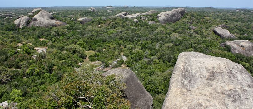 Kumana National Park