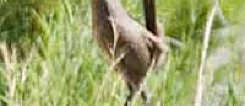 La Campana National Park