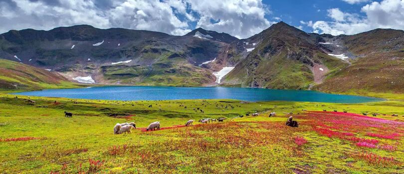 Deosai National Park