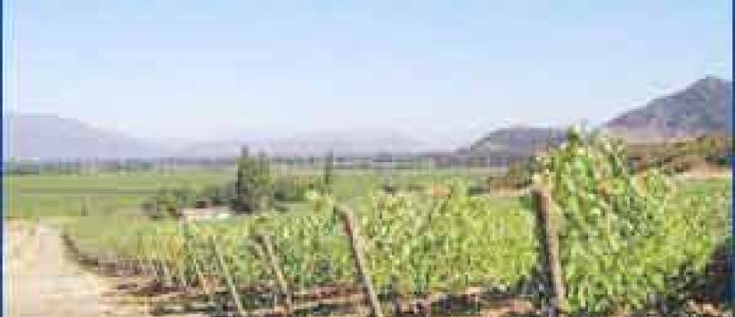 Colchagua Valley