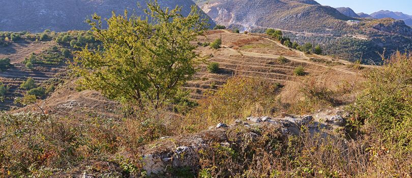 Kongresi i Pogradecit