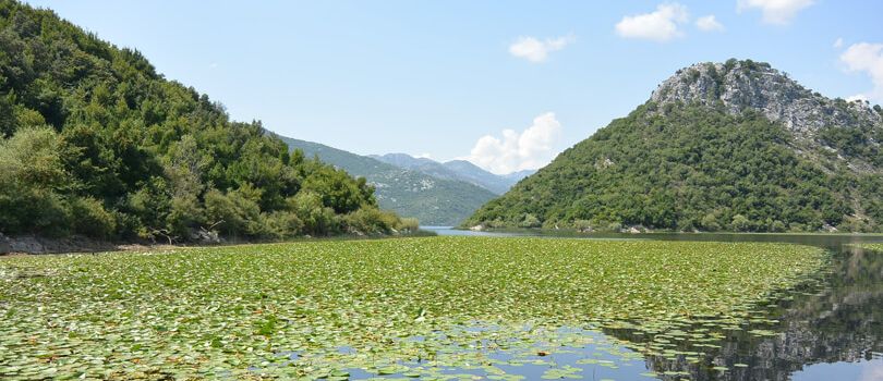 Lake Shkodra