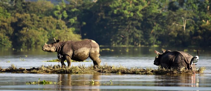 Brahmaputra River Bank