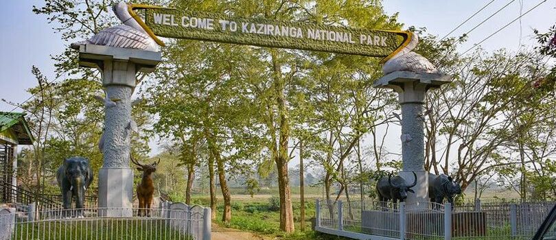 Kaziranga National Park