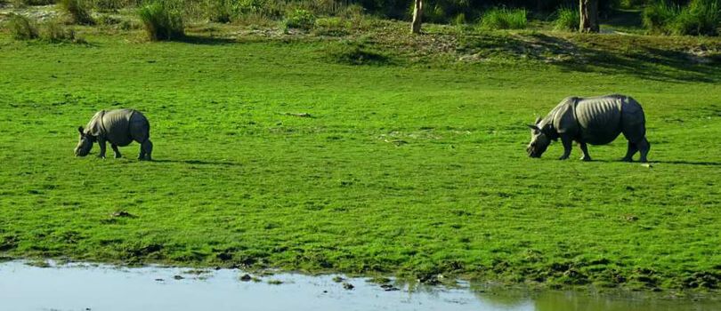 Panbari Reserve Forest