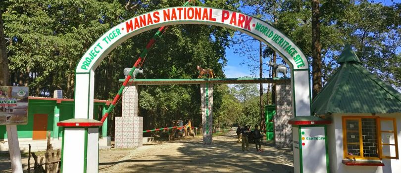 Manas National Park