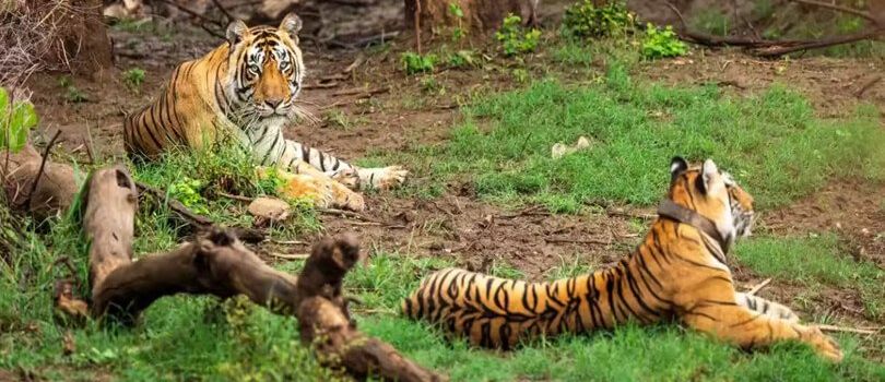 Top Tourist Places To Visit in Champaran