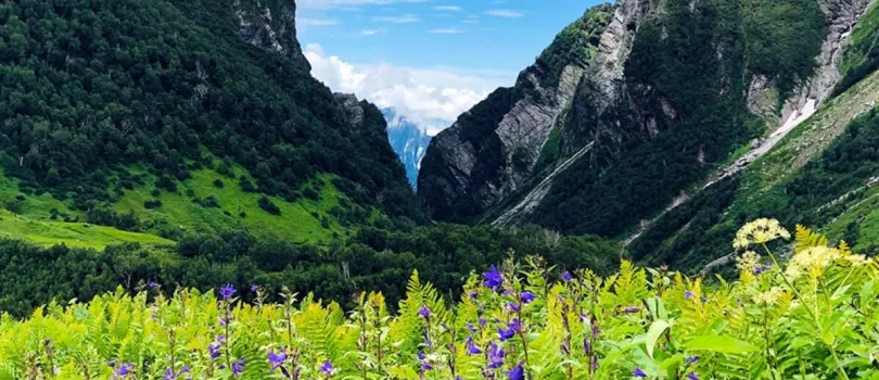 Nanda Devi National Park