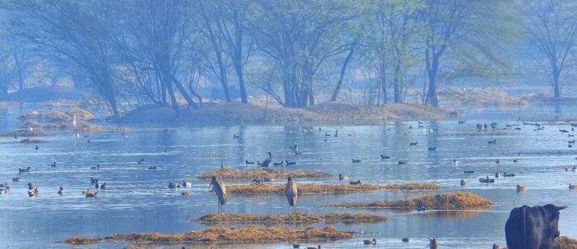 Top Tourist Places To Visit in Rewari