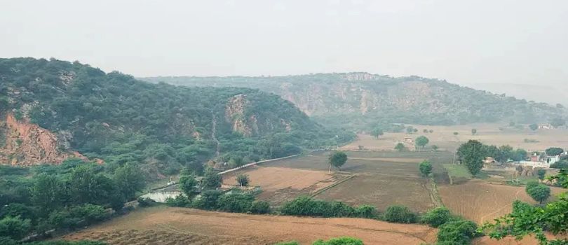 The Leopard Trail