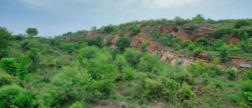 Aravalli Biodiversity Park