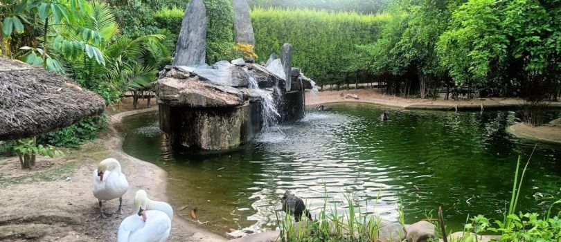 Bir Shikargah Wildlife Sanctuary