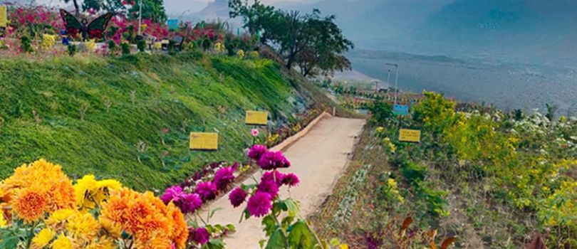 Valley of Flowers