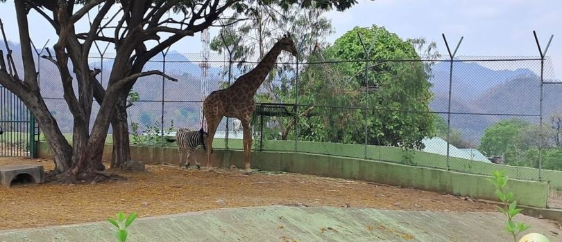 Sardar Patel Zoological Park