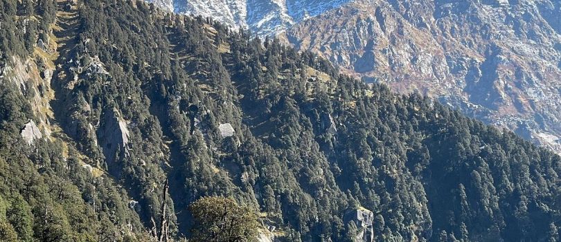 Triund Hill