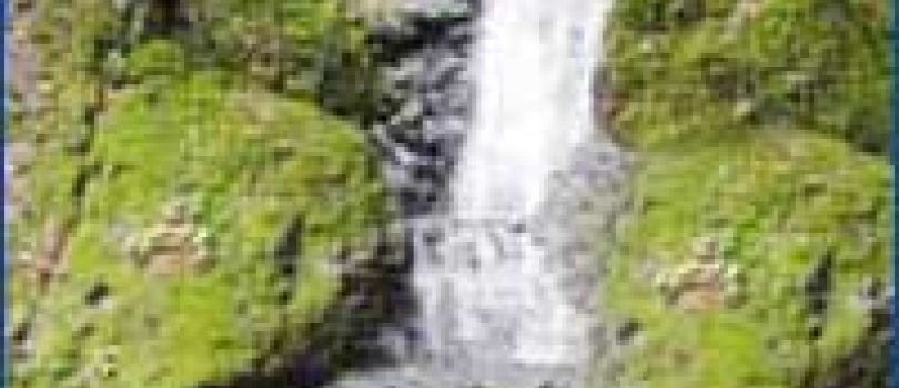 Basin Falls(The Bay)