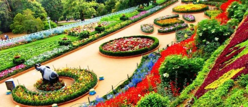 Chandigarh Rose Garden