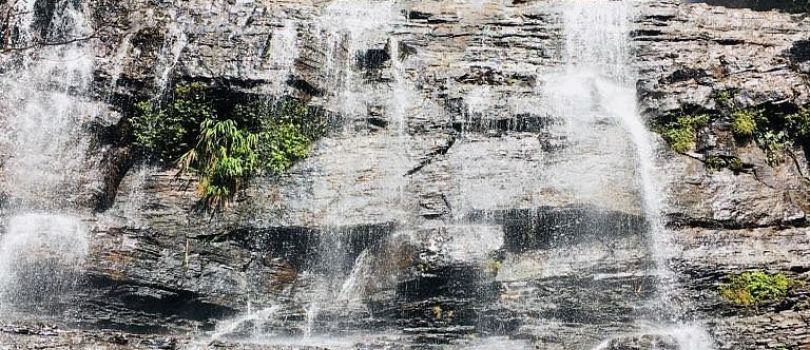 Chikmagalur - Mysore 2 Nights 3 Days Tour Package