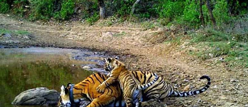 Jaisamand Wildlife Sanctuary