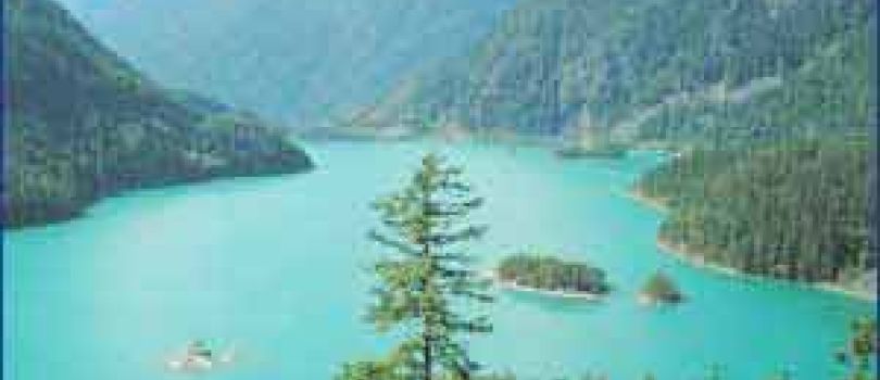 Davis Peak(Longview)