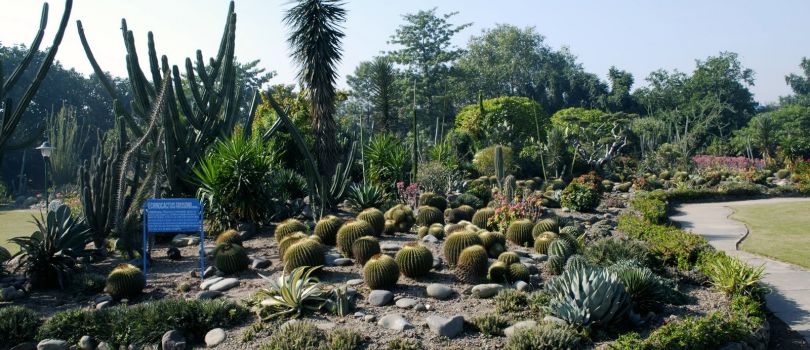 Botanical Garden
