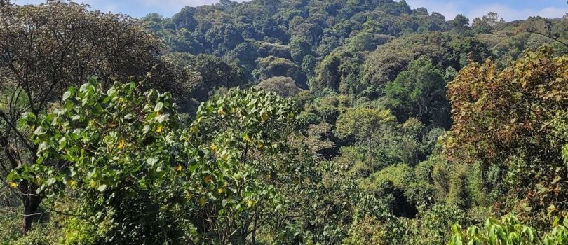 Top Tourist Places To Visit in Muramvya