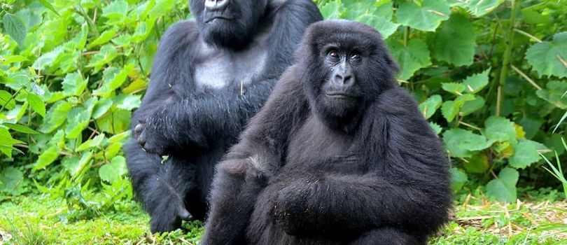 Top Tourist Places To Visit in Fort Portal