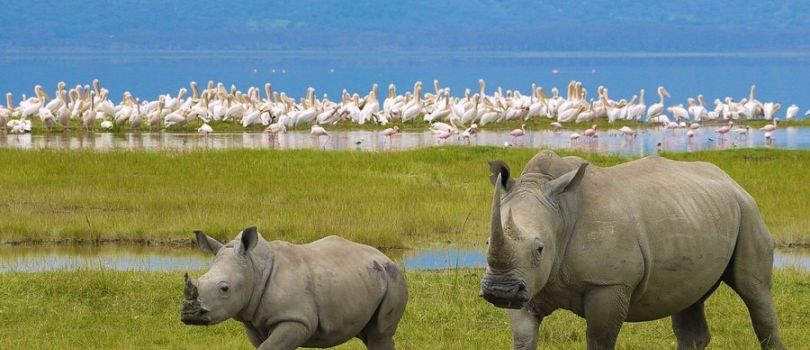 7 Days Kenya Safari Tour