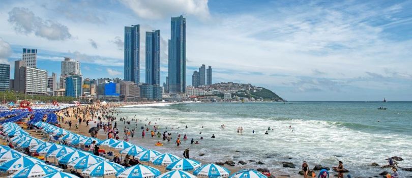 Top Tourist Places To Visit in Busan