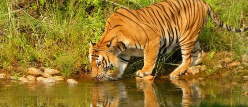 Top Tourist Places To Visit in Bardiya