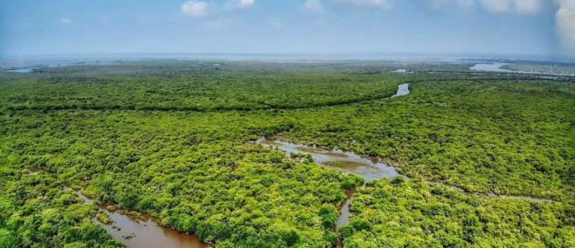 Saanapu and Sataoa Mangroves