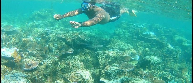 Palolo Deep Marine Reserve