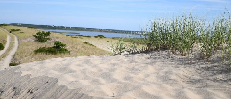 Cape Cod National Seashore