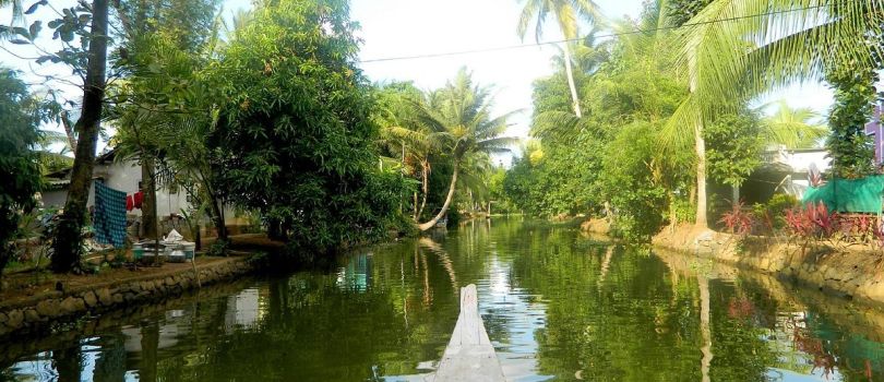 Sweet Kerala Honeymoon Package