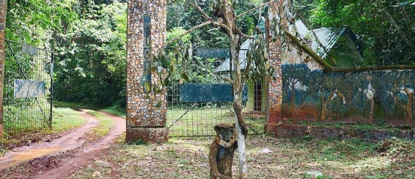 Top Tourist Places To Visit in Benin City